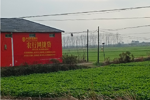 平果如何防止墙体广告褪色呢？