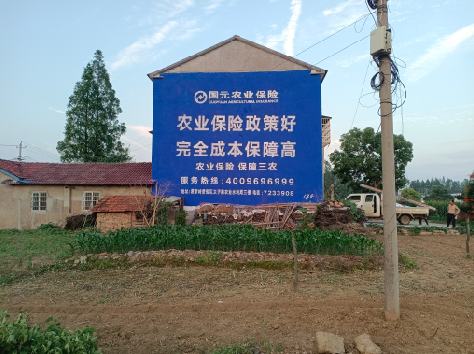 平果墙体广告的优劣势你知道吗？